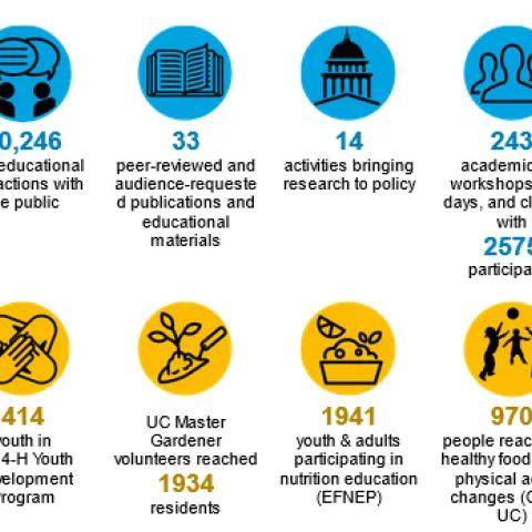 Colorful icons containing data such as "489 vounteers donated 42,862 hours public service--estimated value of $1440,605.