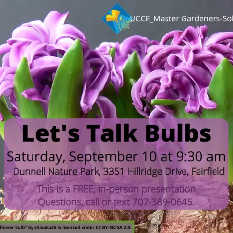 MGS-bulbs 9-10-22 dunnell