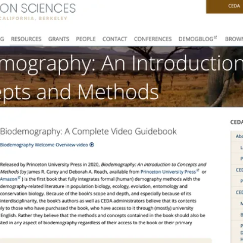 video guidebook