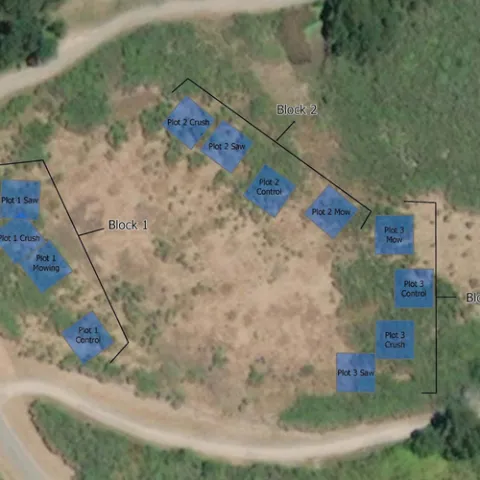 Plot Layout