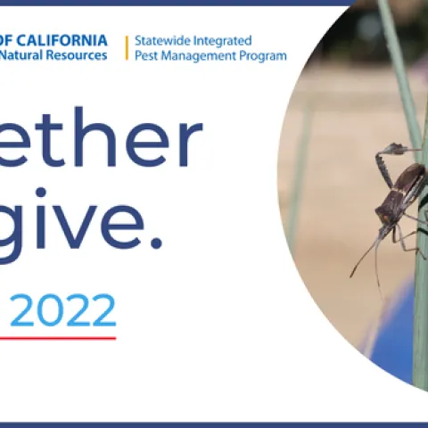 Giving Tuesday 2022.