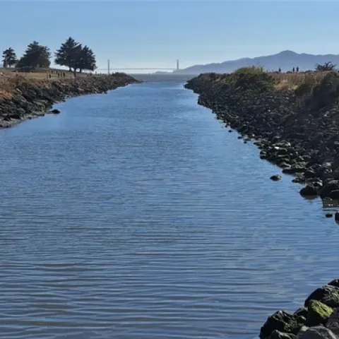 Residues from urban pesticide applications may be washed into storm drains and lead directly into creeks, rivers, and oceans. Credit: Petr Kosina, UC IPM.