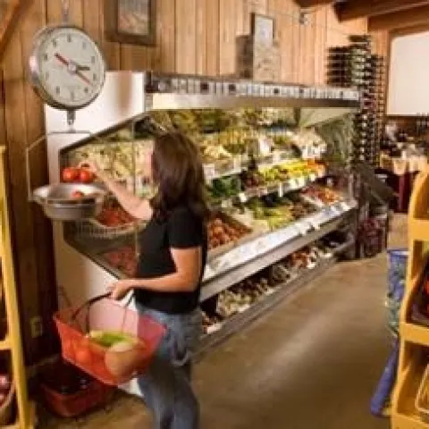 Phillips Farms