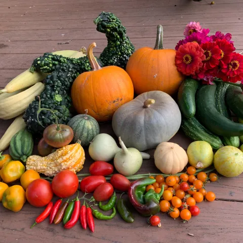 Summer Vegetables, Laura Westley