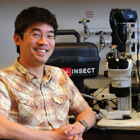 Professor Louie Yang in his office in Briggs Hall, UC Davis campus. (Photo by Kathy Keatley Garvey)