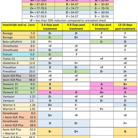 table