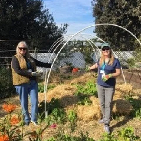 Straw Mulching at Mary Farmar School Garden - photo by Sheila Clyatt