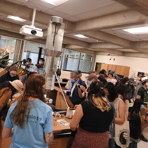 Crowds fill Room 122 of Briggs Hall during the 2022 Picnic Day celebration. (Photo by Kathy Keatley Garvey)