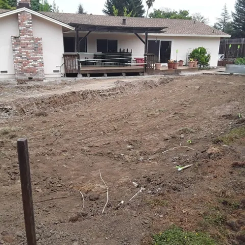 dirt