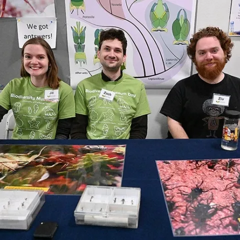 Got a question about ants? Ask the Phil Ward lab members. From left are doctoral candidates Jill Oberski and Zach Griebenow and third-year doctoral student Ziv Lieberman. They answered scores of questions Feb. 18 at the UC Davis Biodiversity Museum Day. (Photo by Kathy Keatley Garvey)