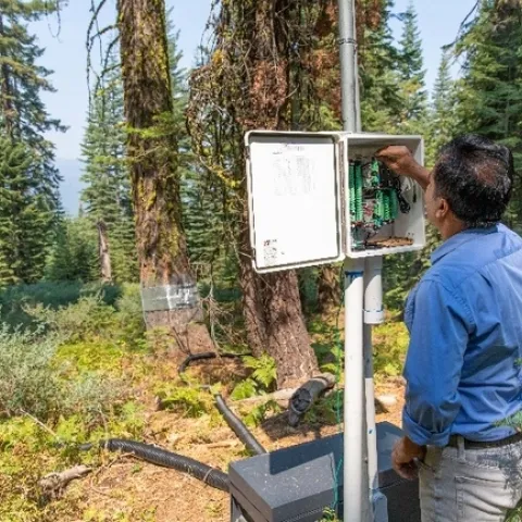 Especialista terminando el proyecto de tratamientos para incendios forestales