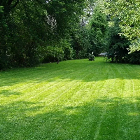 What a lawn by heipei is licensed under CC BY-SA 2.0.