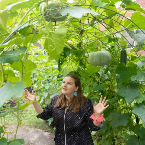Trellis, Kris Snibbe, Harvard University