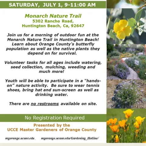 Join Us For A Morning With Orange County's Butterfly Population
