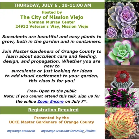 Discover the Beauty and Simplicity of Growing Succulents - Join Our Event!