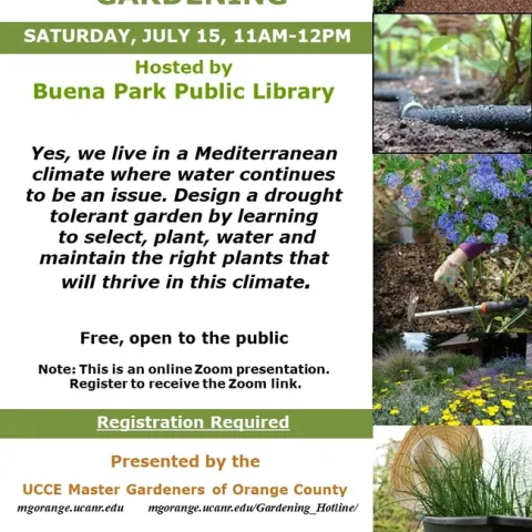 Calling All Gardeners: Learn the Secrets to Successful Drought-Tolerant Gardening!