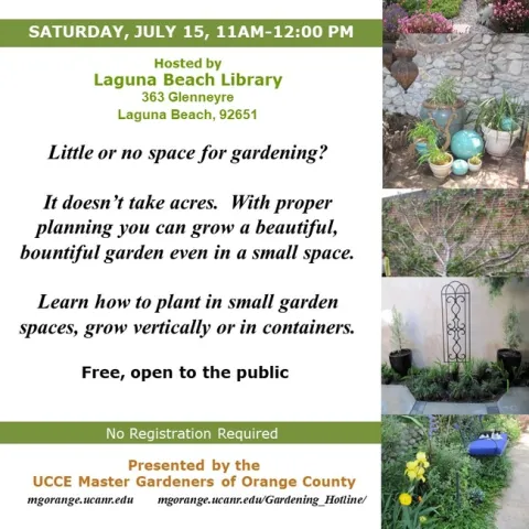 Unlock the Magic of Small Gardens: Learn How to Grow Beautifully in Limited Space