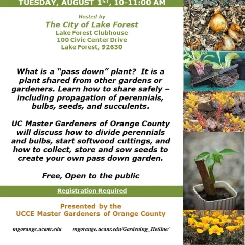 Discover the Magic of "Pass Down" Plants: Learn How to Safely Share and Propagate Garden Gems