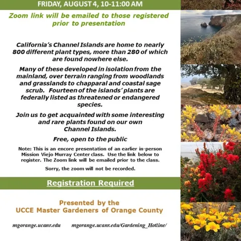 Discover the Rare and Unique Plants of California's Channel Islands - Join Us!