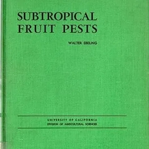 ebeling cover