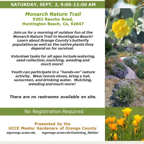 Unleash Your Inner Nature Enthusiast: Join Us at Monarch Nature Trail!