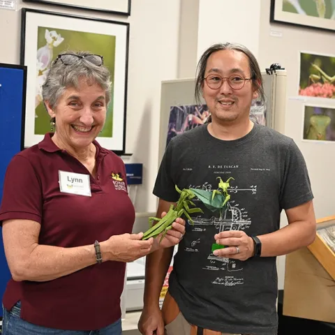 UC Davis alumnus Kevin Murakoshi of Davis gifted the Bohart Museum of Entomology with origami praying mantises. With him is UC Davis distinguished professor Lynn Kimsey, director of the Bohart Museum. (Photo by Kathy Keatley Garvey)