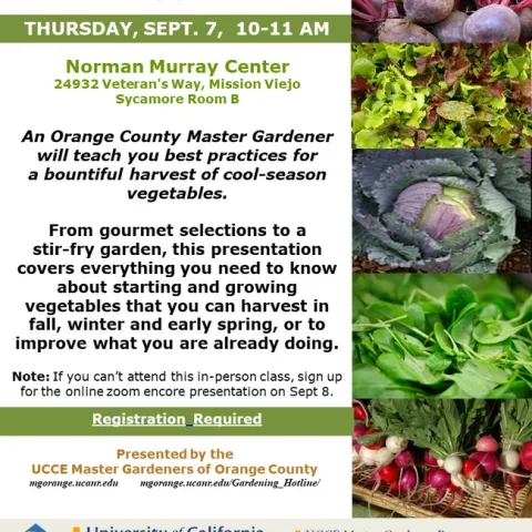 Unlock a Bounty of Fall Delights: Master the Art of Cool-Season Veggie Harvest!