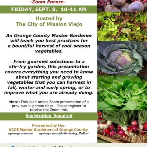 Zoominar Alert: Discover Secrets to Thriving Cool-Season Veggie Gardens