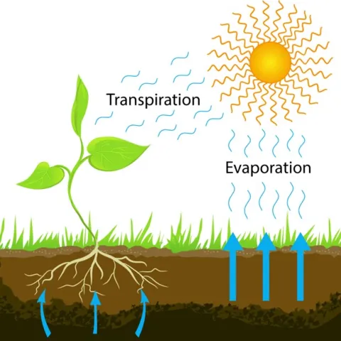 Courtesy of Jain Irrigation USA.