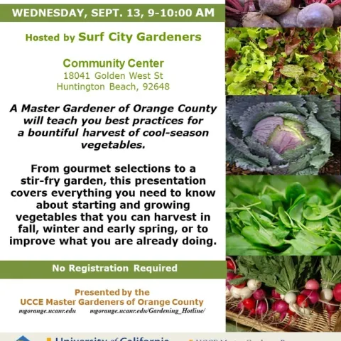 From Garden to Plate: Master Cool-Season Veggie Gardening with Us!