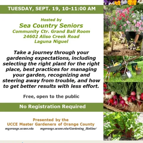 Elevate Your Gardening Game: Mastering the Art of Plant Selection and Care!
