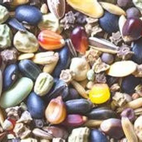 westcoastseeds.com