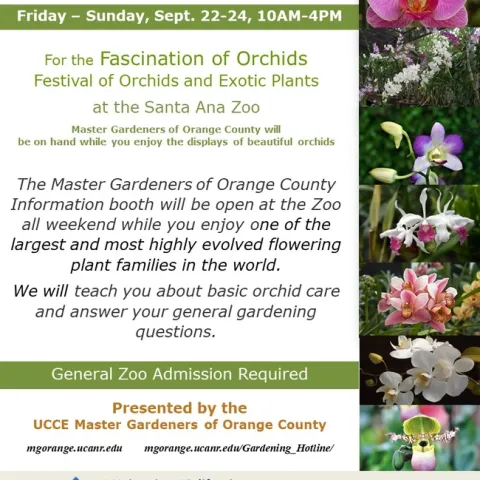 Step into a World of Orchids: Join Us at the Santa Ana Zoo Festival!
