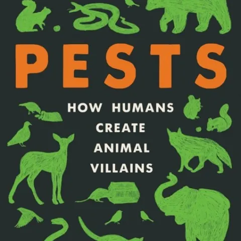 PestsCover