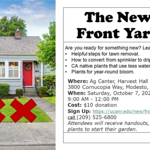 The New Front Yard