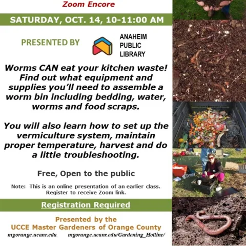 Waste Not, Worm Not: Dive into Vermiculture & Composting!