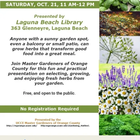 Culinary Alchemy: Herb Gardening for Food Enthusiasts!