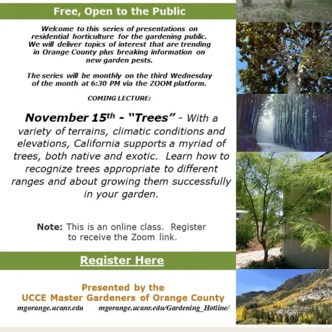 Dive into the World of Trees – Identify, Grow, and Transform Your Garden.