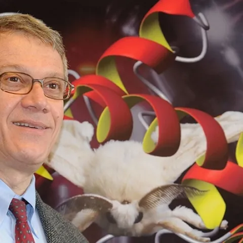 UC Davis distinguished professor Walter Leal is ranked No. 22 among the world's top entomologists in the Stanford University-Elsevier "science-wide author databases of standardized citation indicators."