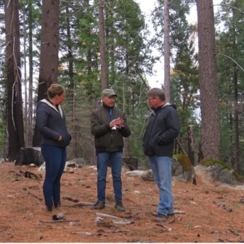 Three people standing in a forest.