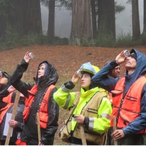 Eight people in raincoats and orange or yellow vests peer through a handheld device up at trees.