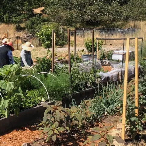 yeararoundgardening