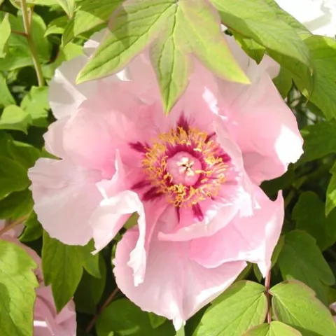 MG2024Q1PlantsB