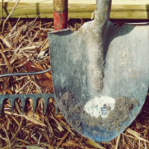 Shovel and rake.