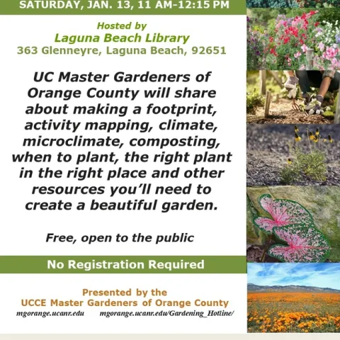 Cultivate Your Oasis: UC Master Gardeners Showcase the Essentials of Garden Design and Maintenance