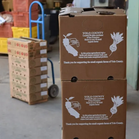 Los centros de distribución de alimentos manejan la agregación y distribución de productos alimentarios y deben adherirse a ciertos estándares sobre seguridad alimentaria.