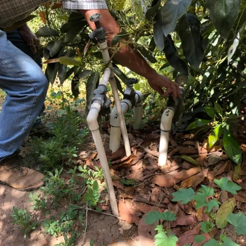 irrigation valves