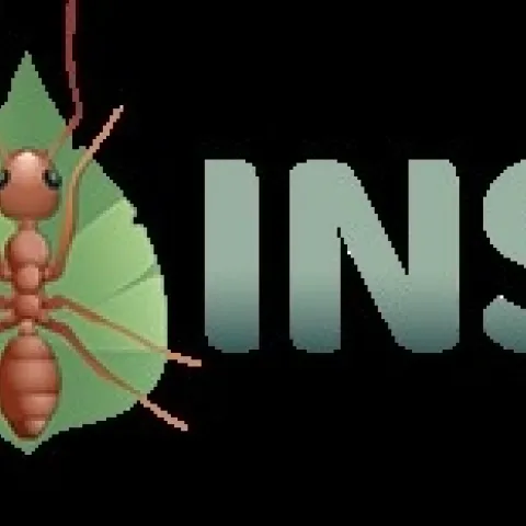 pest insight