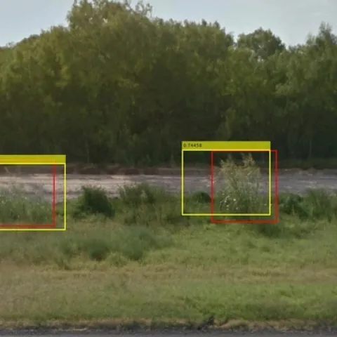 Puntos con el pasto Johnson identificados mediante el uso de Google Street View. Los recuadros amarillos fueron generados por la inteligencia artificial; los recuadros rojos fueron dibujados por un humano.