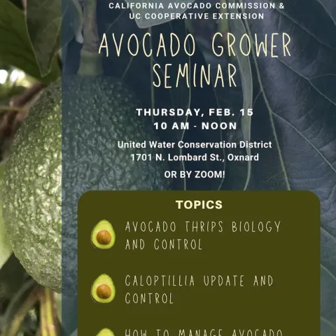 CAS Seminar 2-15